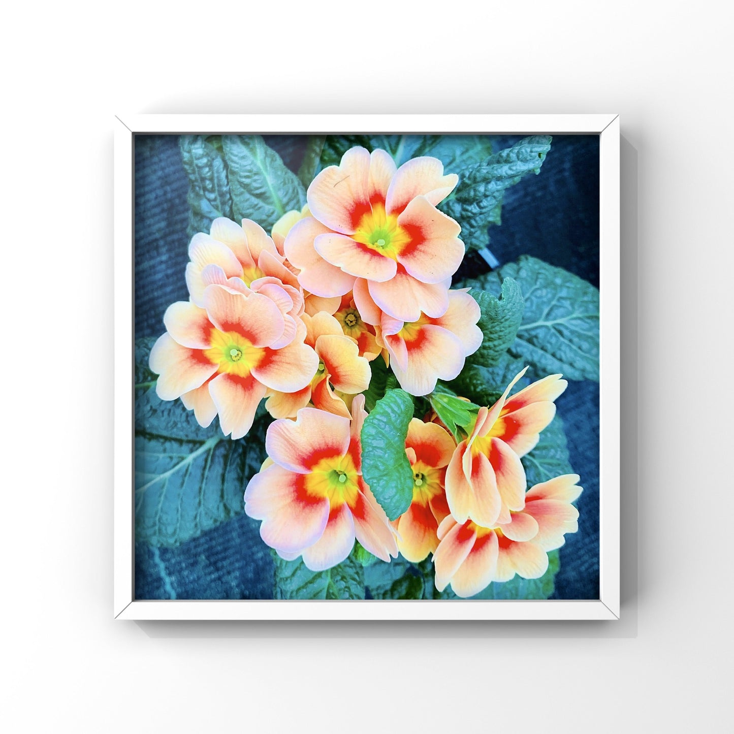 Orange Primrose Printable Wall Art, Botanical Flower Photography, Digital Download