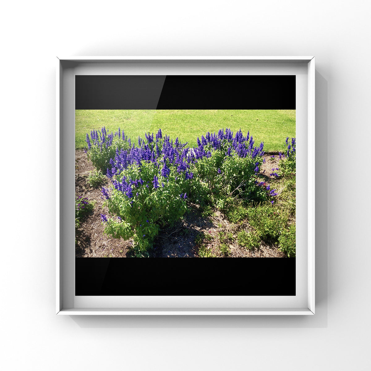 Purple Flowers Wall Art Printable, Floral Photography, Botanical Decor, Digital Download