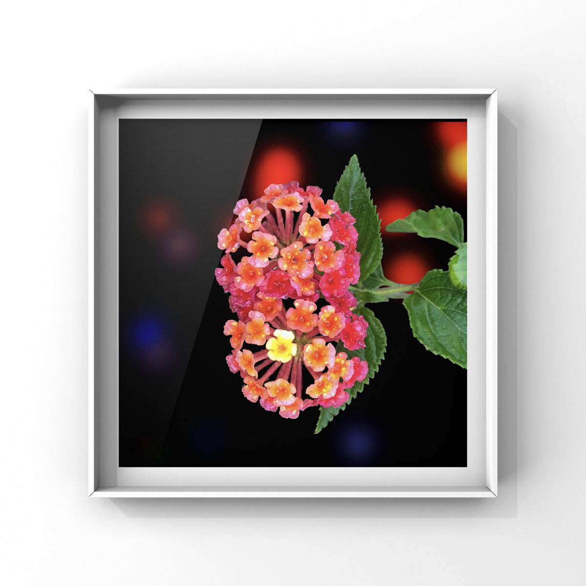 Red and Yellow Lantana Camara Wall Art Printable, Flower Photography, Vibrant Botanical Decor, Digital Download