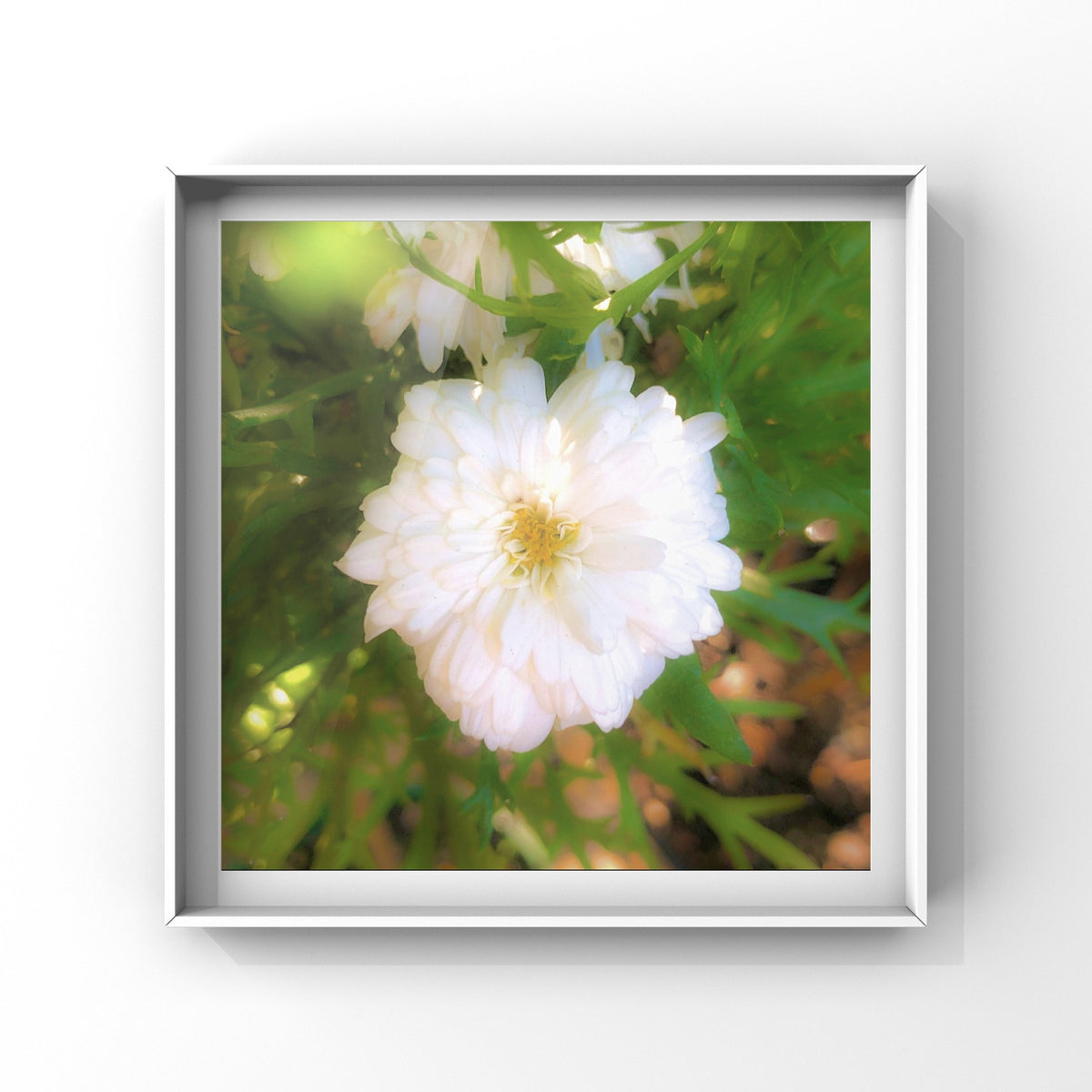 White Flower Wall Art Printable, Elegant Botanical Photography, Floral Digital Download