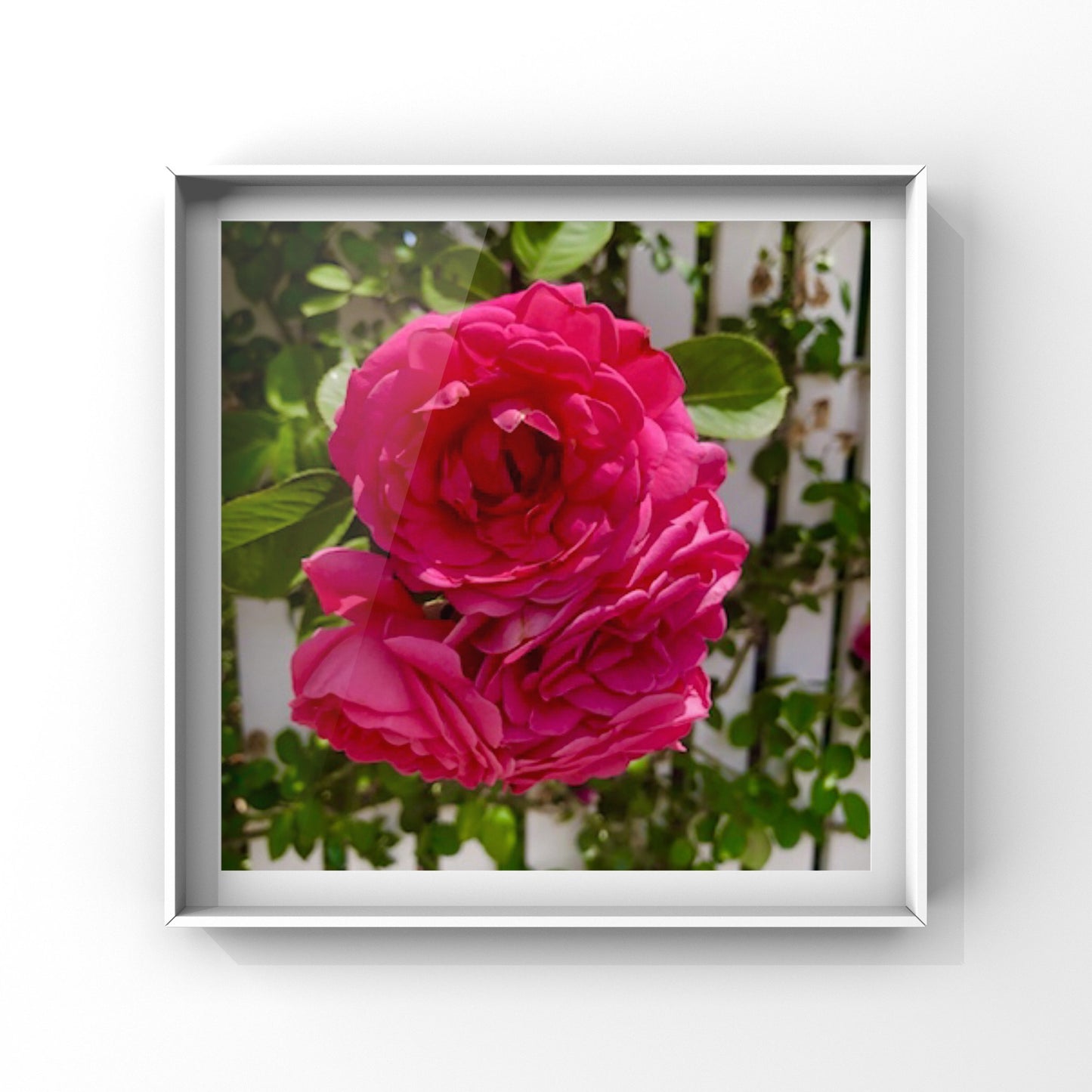 Red Roses Printable Wall Art, Botanical Flower Photography, Digital Download