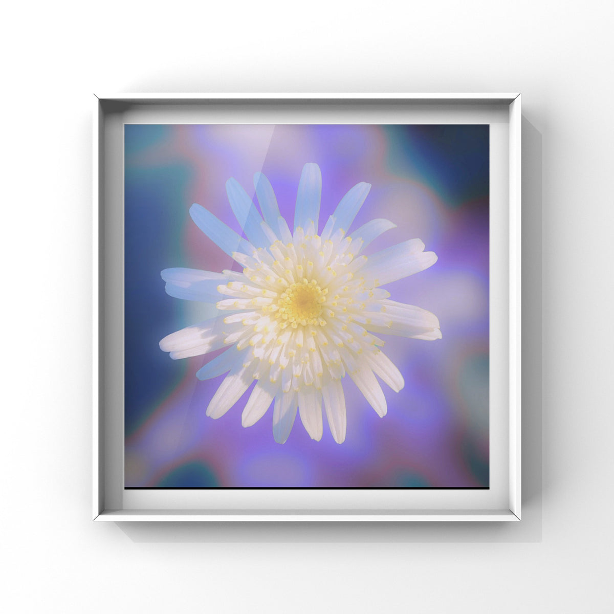 White Flower Wall Art Printable, Purple Glow Botanical Photography, Elegant Floral Decor, Digital Download