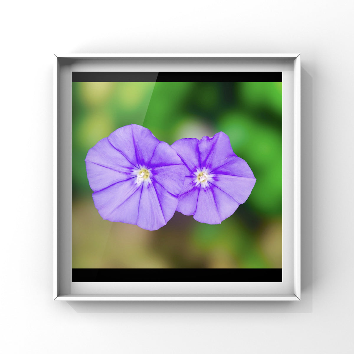 Purple Flowers Wall Art Printable, Elegant Botanical Photography, Floral Decor, Digital Download