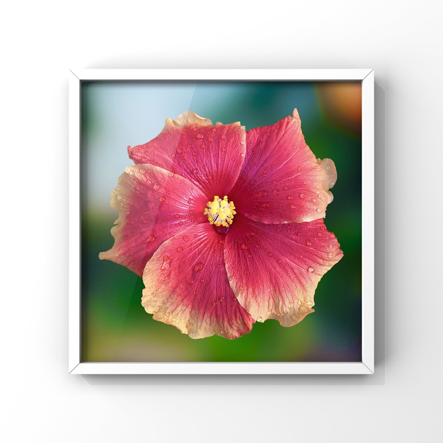 Hibiscus Flower Wall Art Bundle, 10 Botanical Photography Prints, Colour Collection, Digital Download