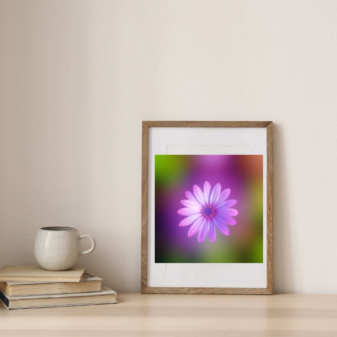 Vibrant Purple Daisy Wall Art Printable, Flower Photography, Elegant Botanical Decor, Digital Download