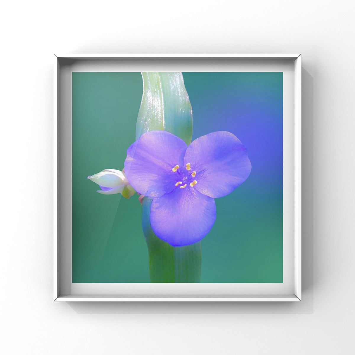 Small Purple Flower Wall Art Printable, Delicate Botanical Photography, Floral Digital Download