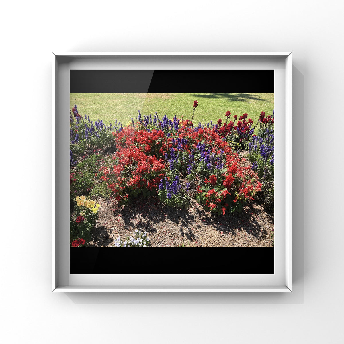 Mixed Garden Flowers Wall Art Printable, Flower Photography, Vibrant Red Purple Yellow Bloom Decor, Botanical Digital Download