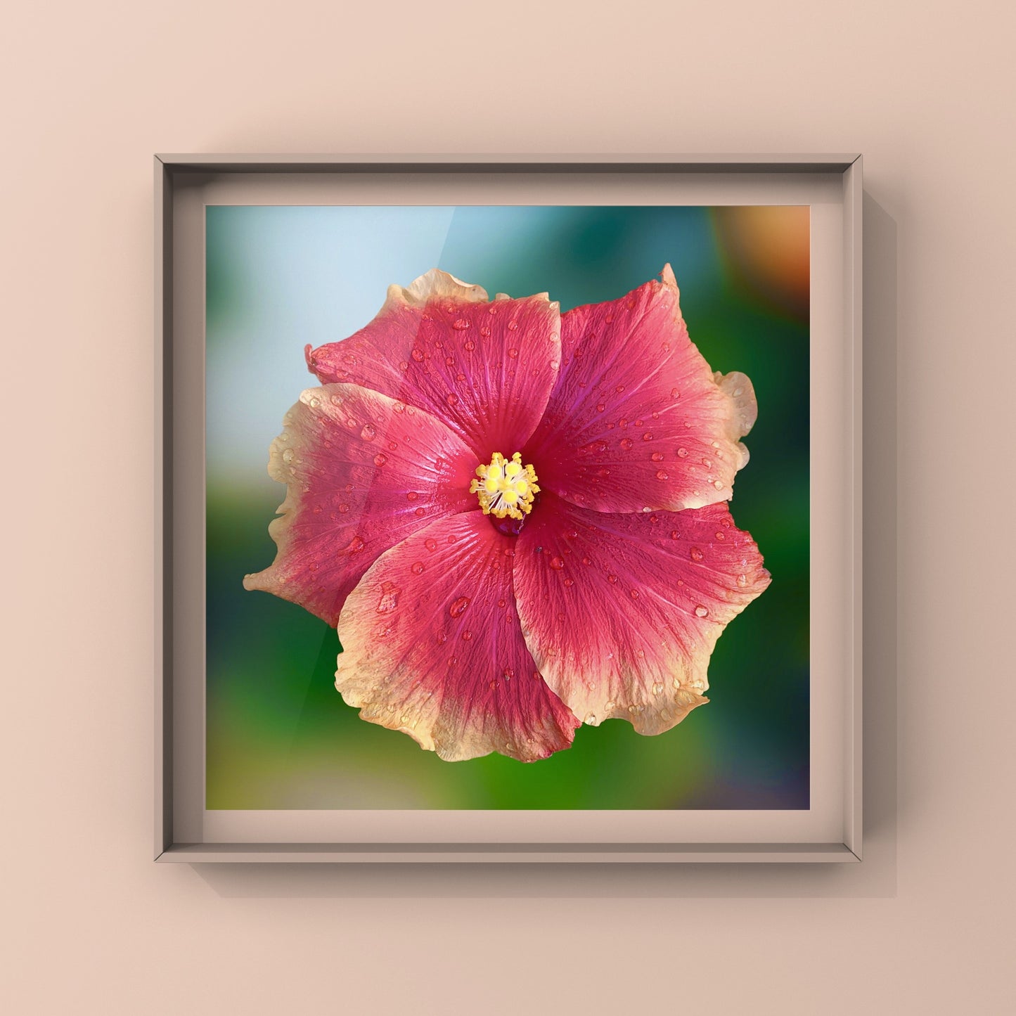 Hibiscus Flower Wall Art Bundle, 10 Botanical Photography Prints, Colour Collection, Digital Download
