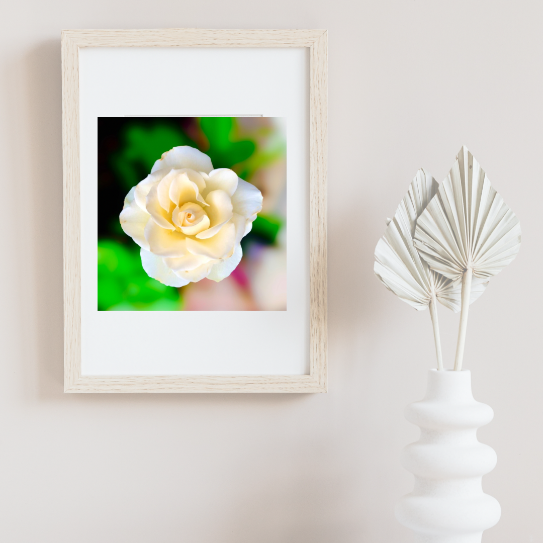 White Rose Wall Art Printable, Flower Photography, Elegant Botanical Decor, Digital Download