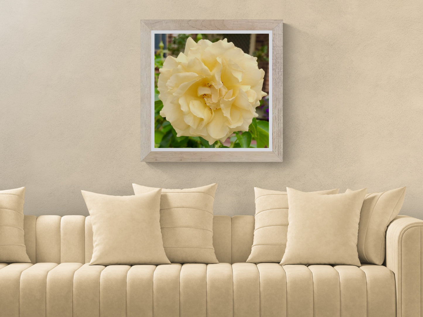 Yellow Garden Rose Printable Wall Art, Botanical Flower Photography, Digital Download