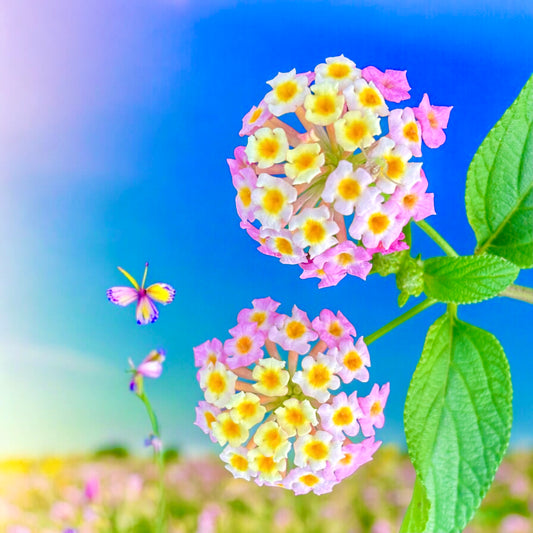 Lantana Camara Wall Art Printable, Springtime Botanical Photography, Floral Digital Download