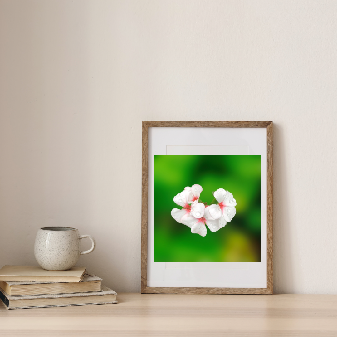 Pink and Red Garden Geraniums Wall Art Printable, Flower Photography, Elegant Botanical Decor, Digital Download