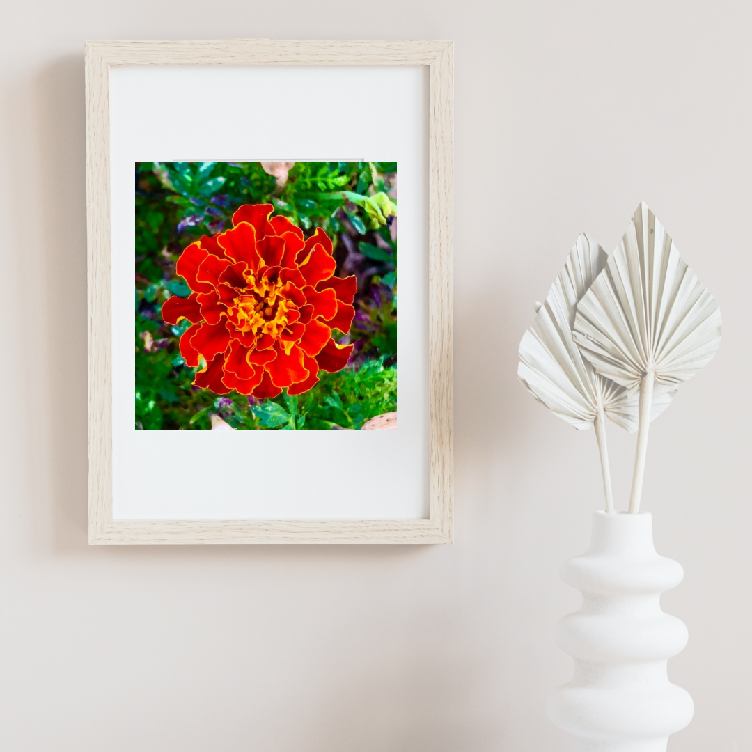 Orange Marigold Flower Wall Art Printable, Vibrant Dreamy Floral Photography, Elegant Botanical Decor, Digital Download