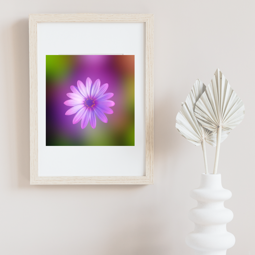 Vibrant Purple Daisy Wall Art Printable, Flower Photography, Elegant Botanical Decor, Digital Download