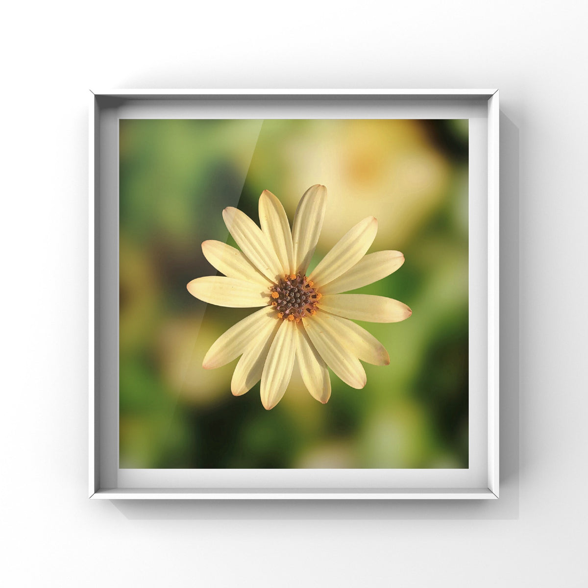 Yellow Daisy Wall Art Printable, Cheerful Flower Photography, Botanical Home Decor, Digital Download
