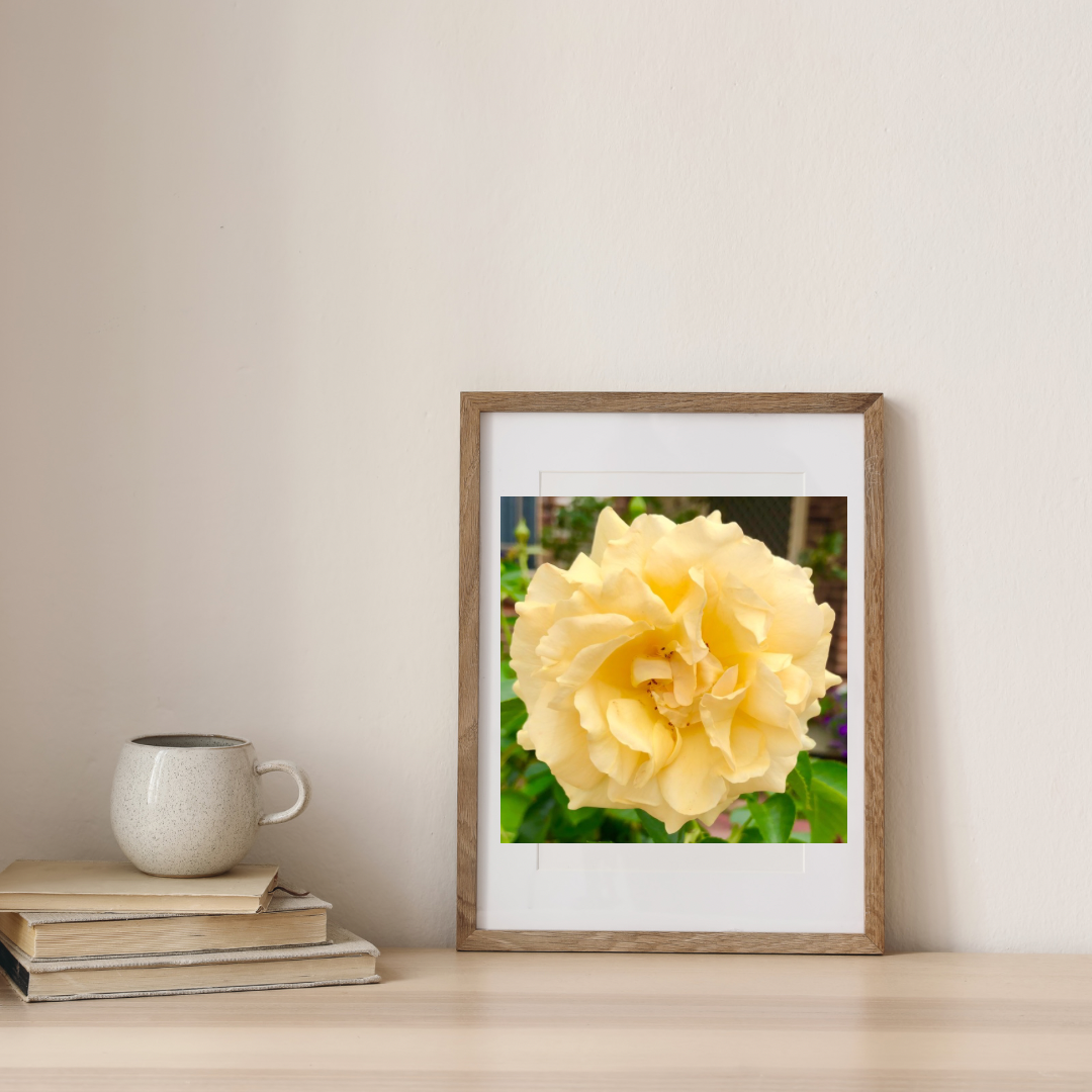 Yellow Garden Rose Printable Wall Art, Botanical Flower Photography, Digital Download