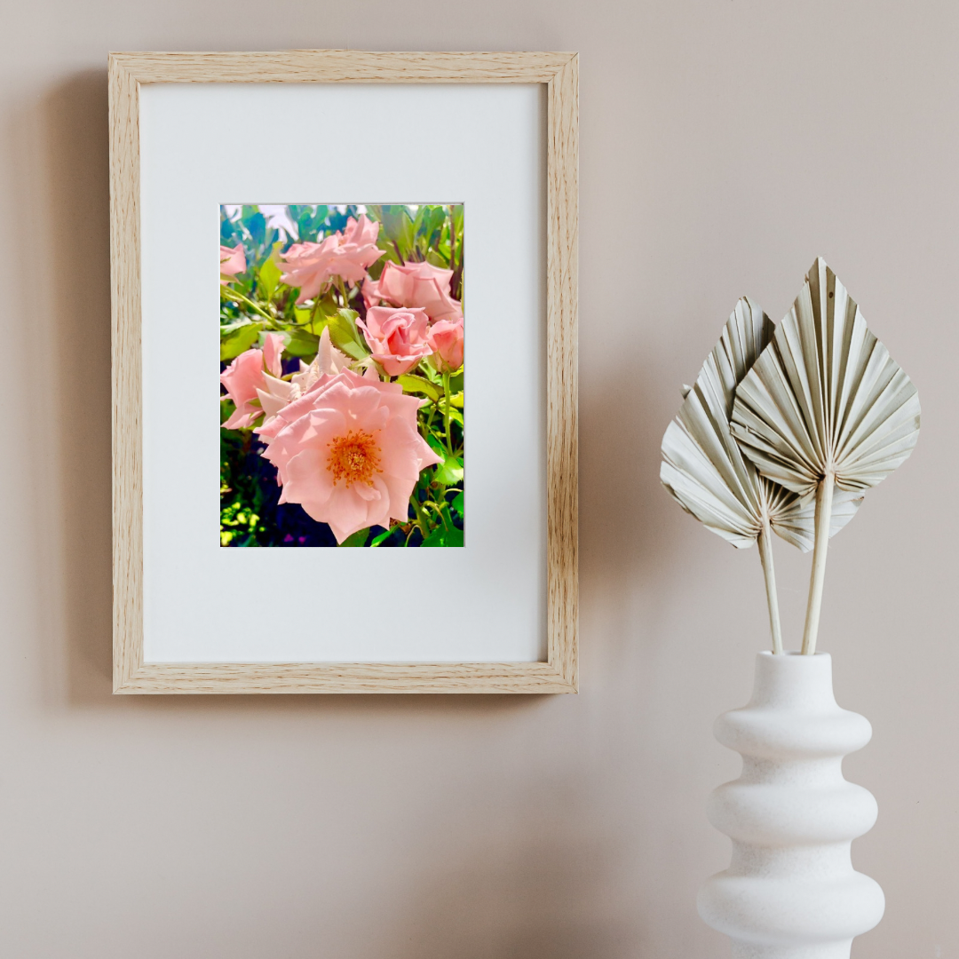 Peach and Pink Roses Printable Wall Art, Botanical Flower Photography, Digital Download