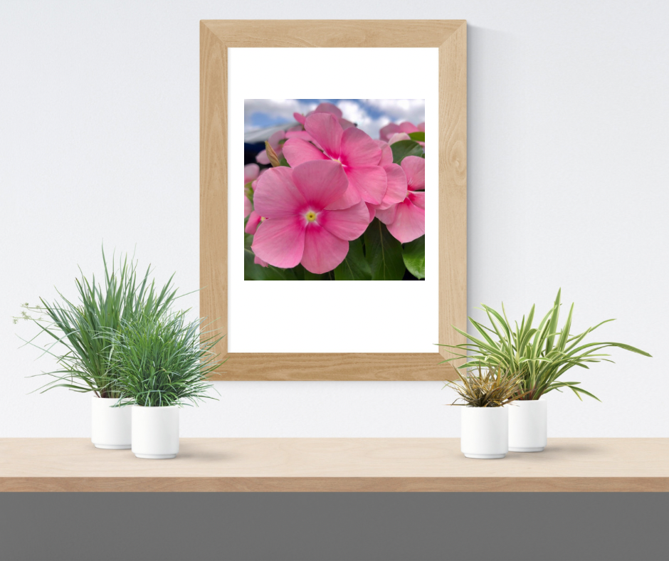 Vibrant Pink Flowers Wall Art Printable, Floral Photography, Botanical Decor, Digital Download