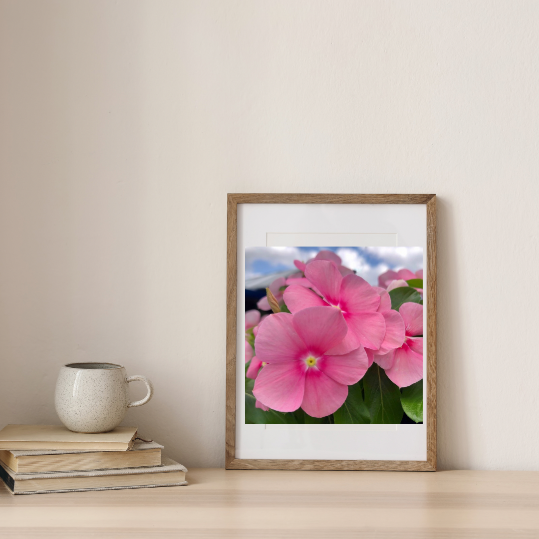 Vibrant Pink Flowers Wall Art Printable, Floral Photography, Botanical Decor, Digital Download