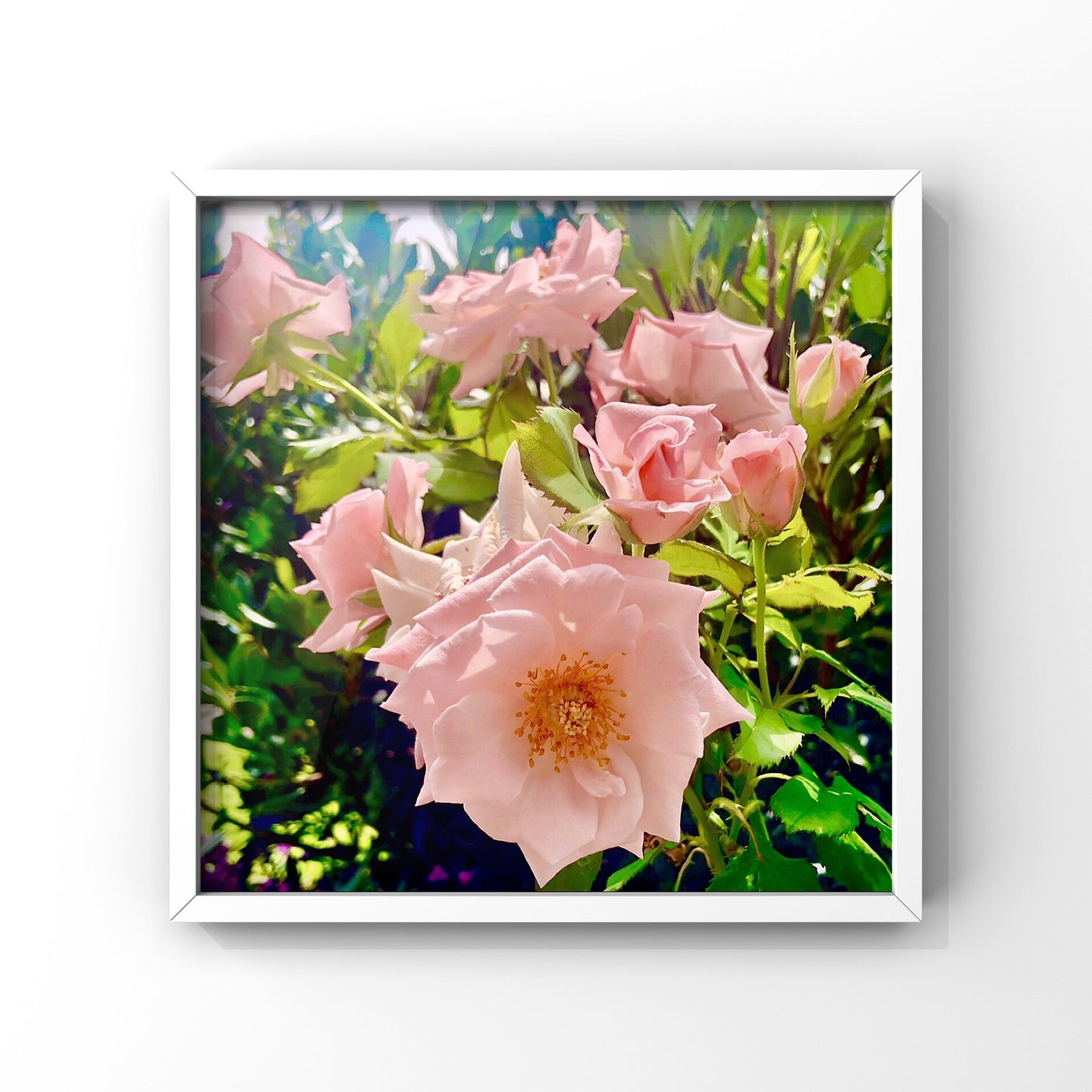Peach and Pink Roses Printable Wall Art, Botanical Flower Photography, Digital Download