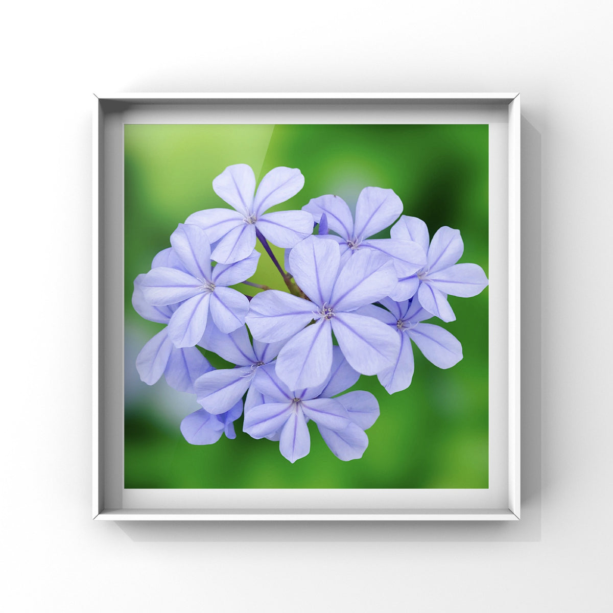 Purple Flowers Wall Art Printable, Elegant Botanical Photography, Floral Decor, Digital Download