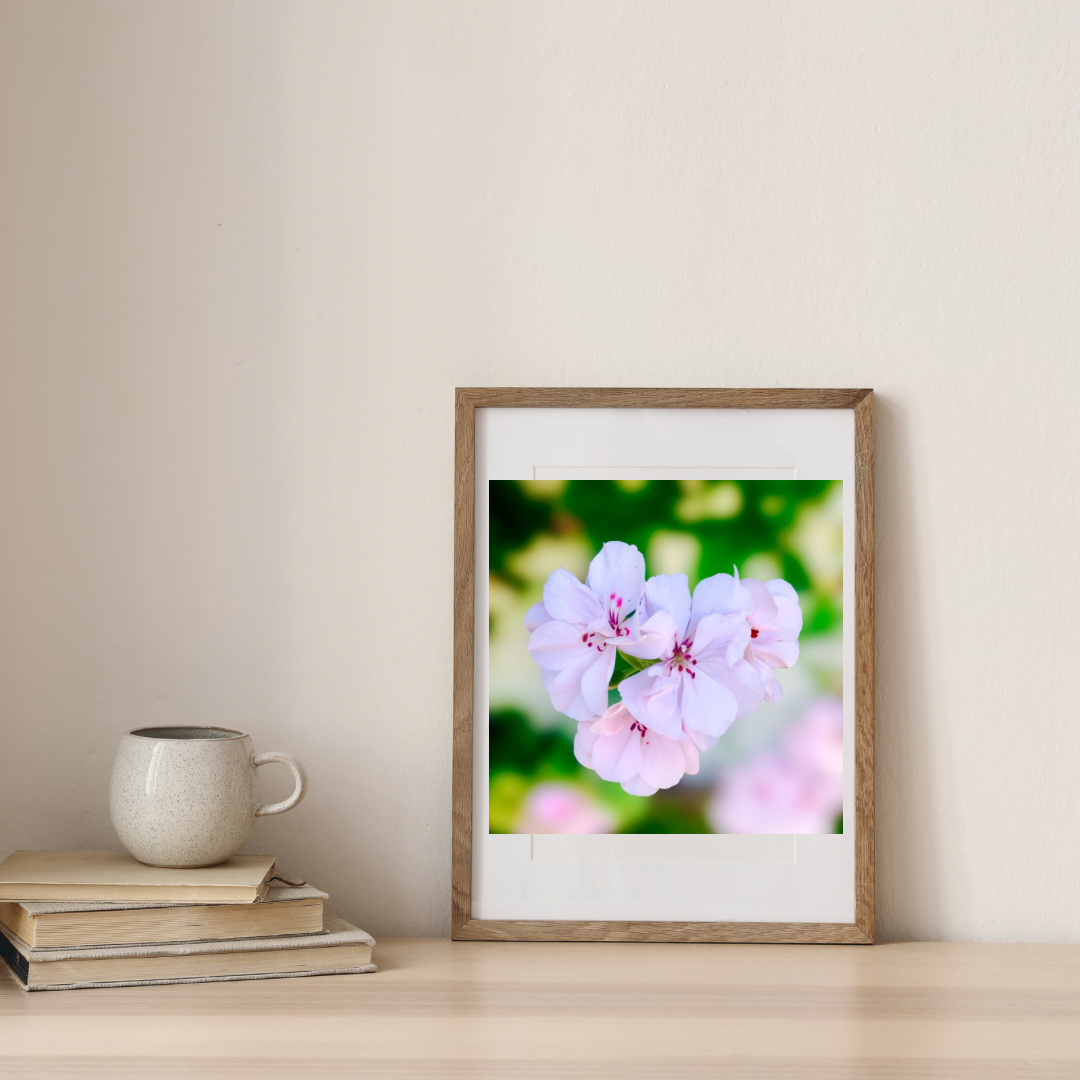Pink and White Geranium Wall Art Printable, Flower Photography, Elegant Botanical Decor, Digital Download