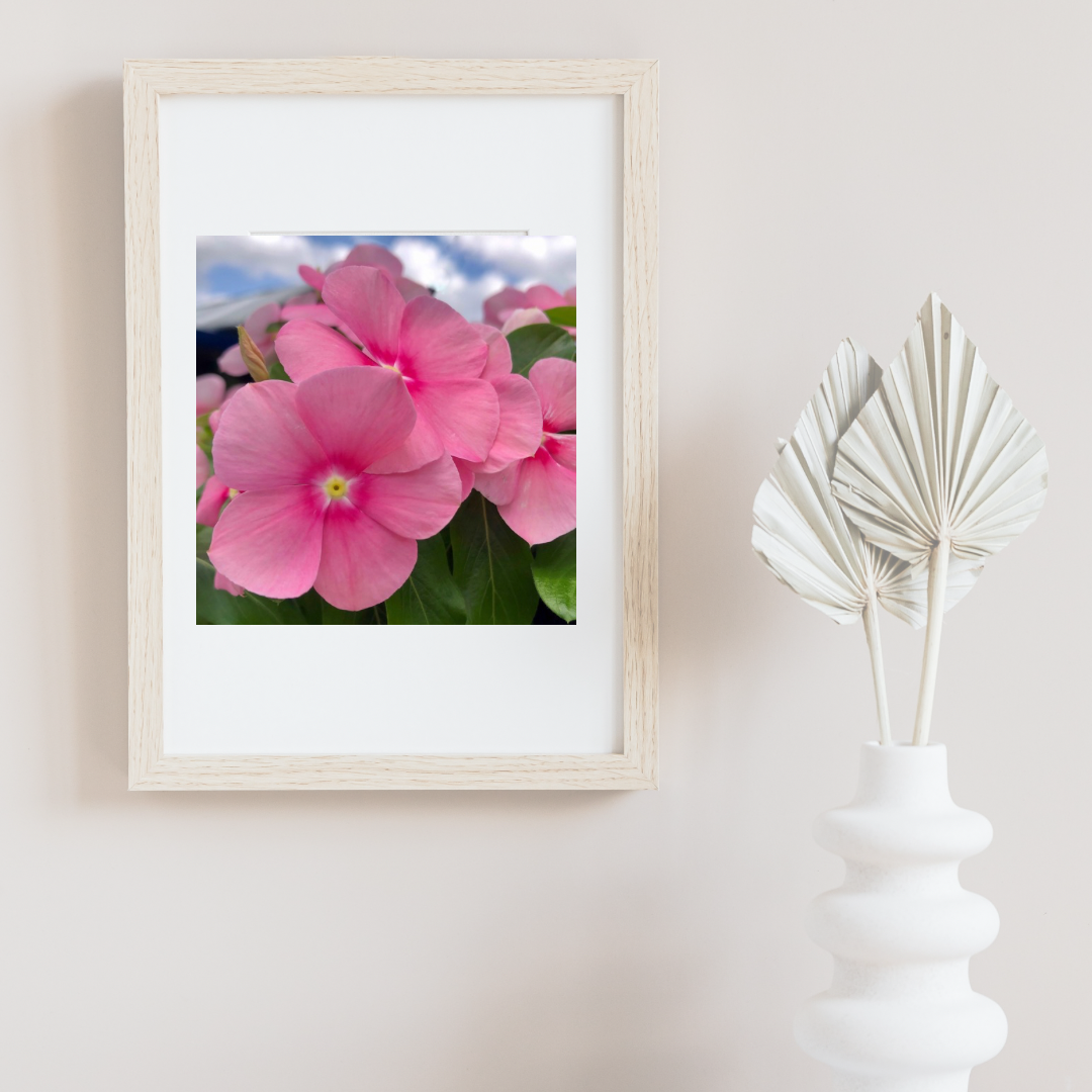 Vibrant Pink Flowers Wall Art Printable, Floral Photography, Botanical Decor, Digital Download