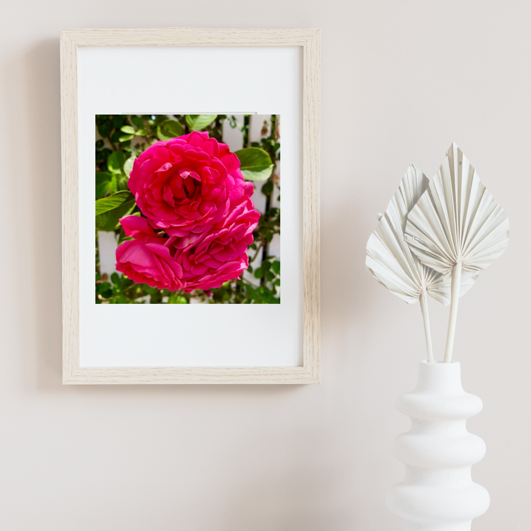 Red Roses Printable Wall Art, Botanical Flower Photography, Digital Download