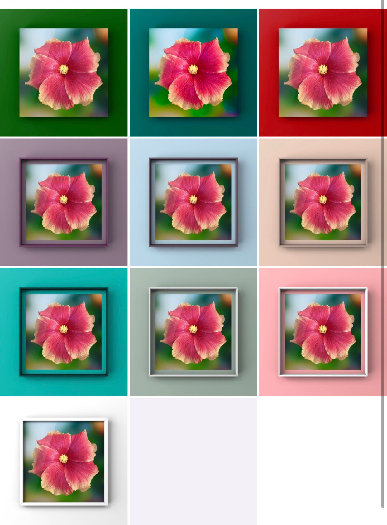 Hibiscus Flower Wall Art Bundle, 10 Botanical Photography Prints, Colour Collection, Digital Download