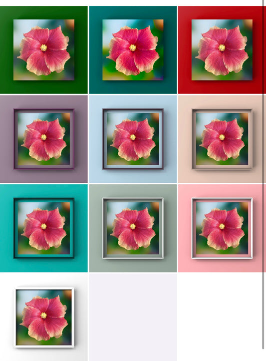 Hibiscus Flower Wall Art Bundle, 10 Botanical Photography Prints, Colour Collection, Digital Download