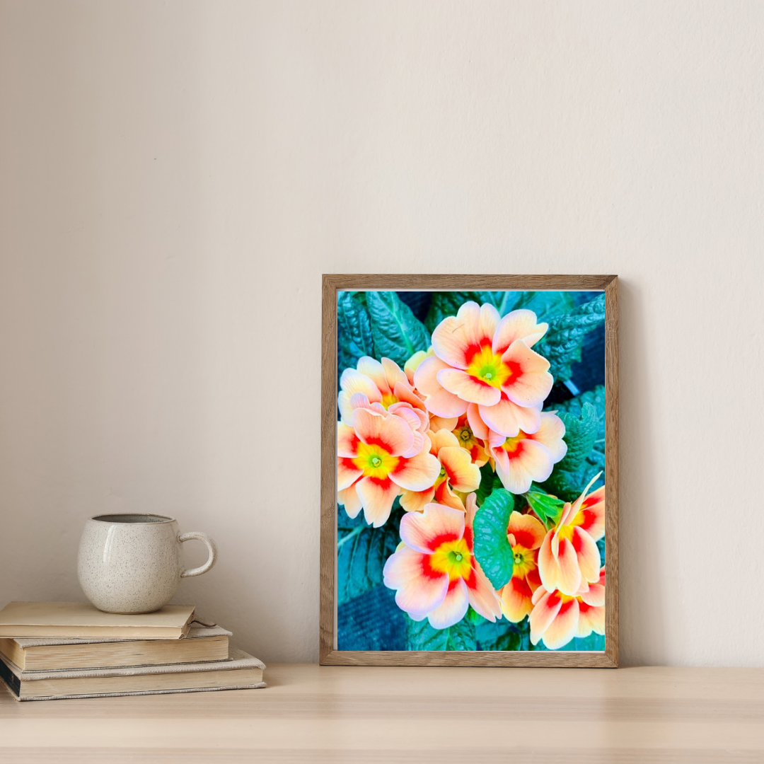 Orange Primrose Printable Wall Art, Botanical Flower Photography, Digital Download