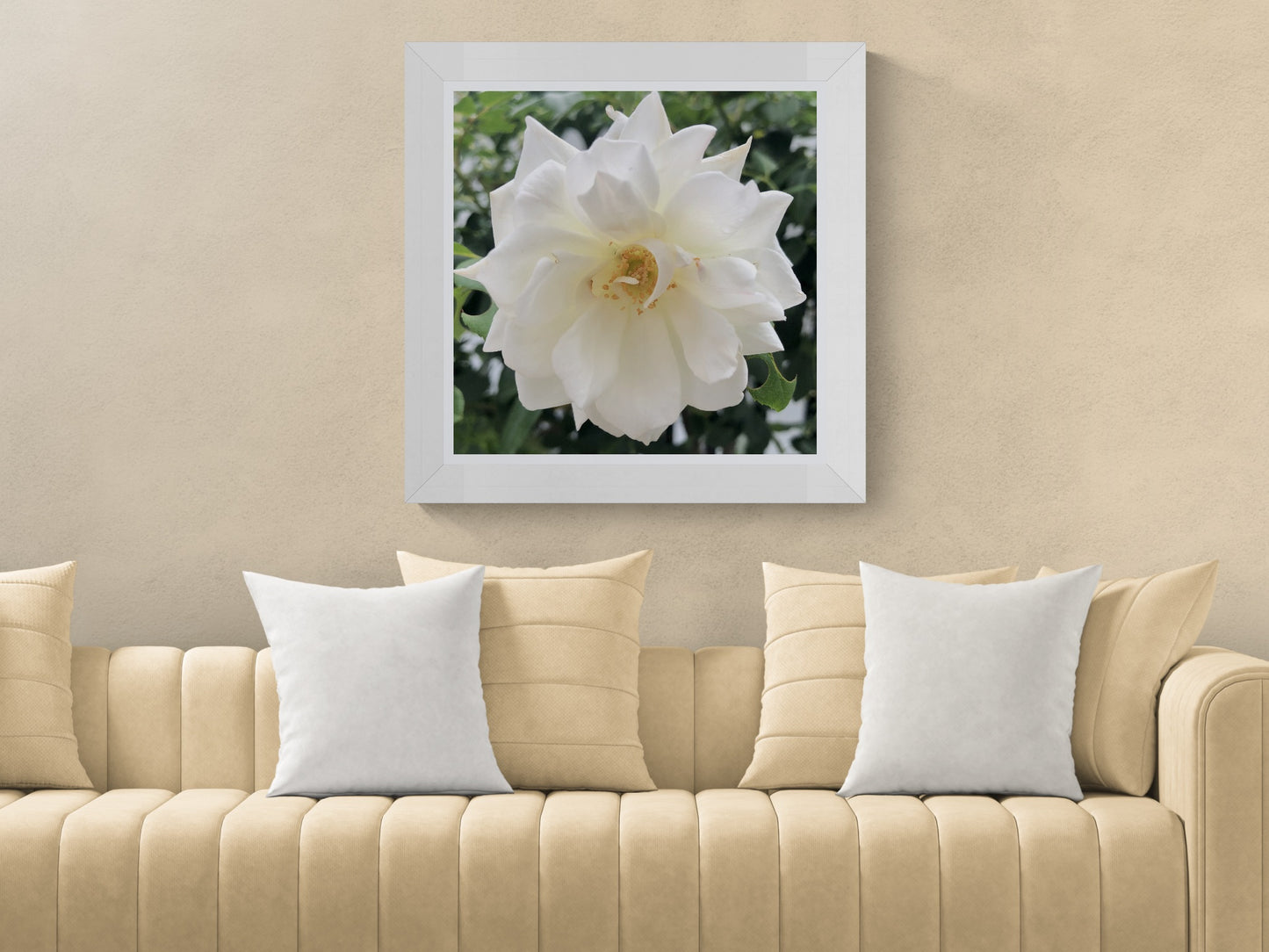 White Iceberg Rose Printable Wall Art, Elegant Botanical Flower Photography, Digital Download