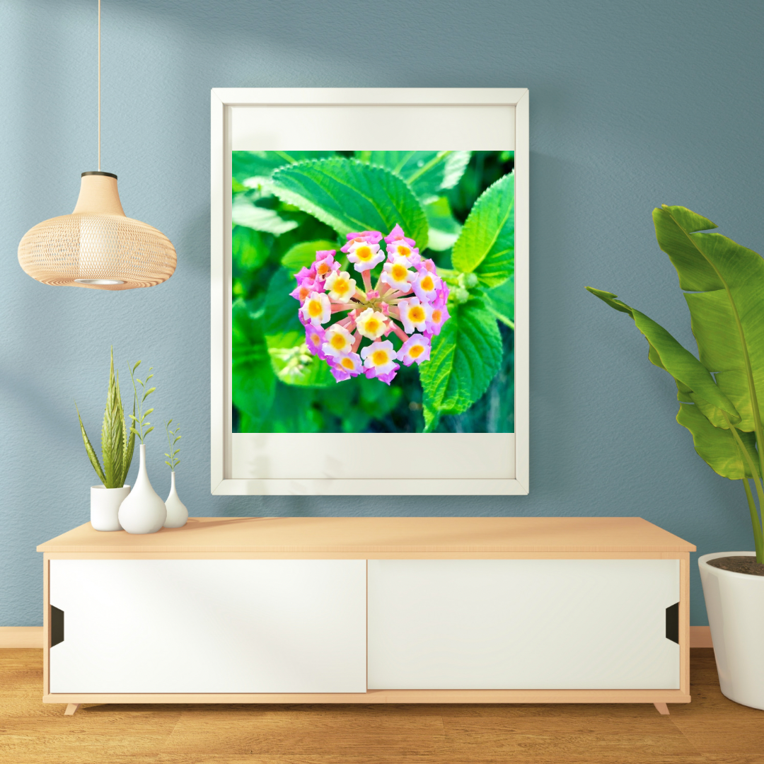 Pink White Yellow Lantana Camara Wall Art Printable, Flower Photography, Colourful Garden Bloom Decor, Botanical Digital Download