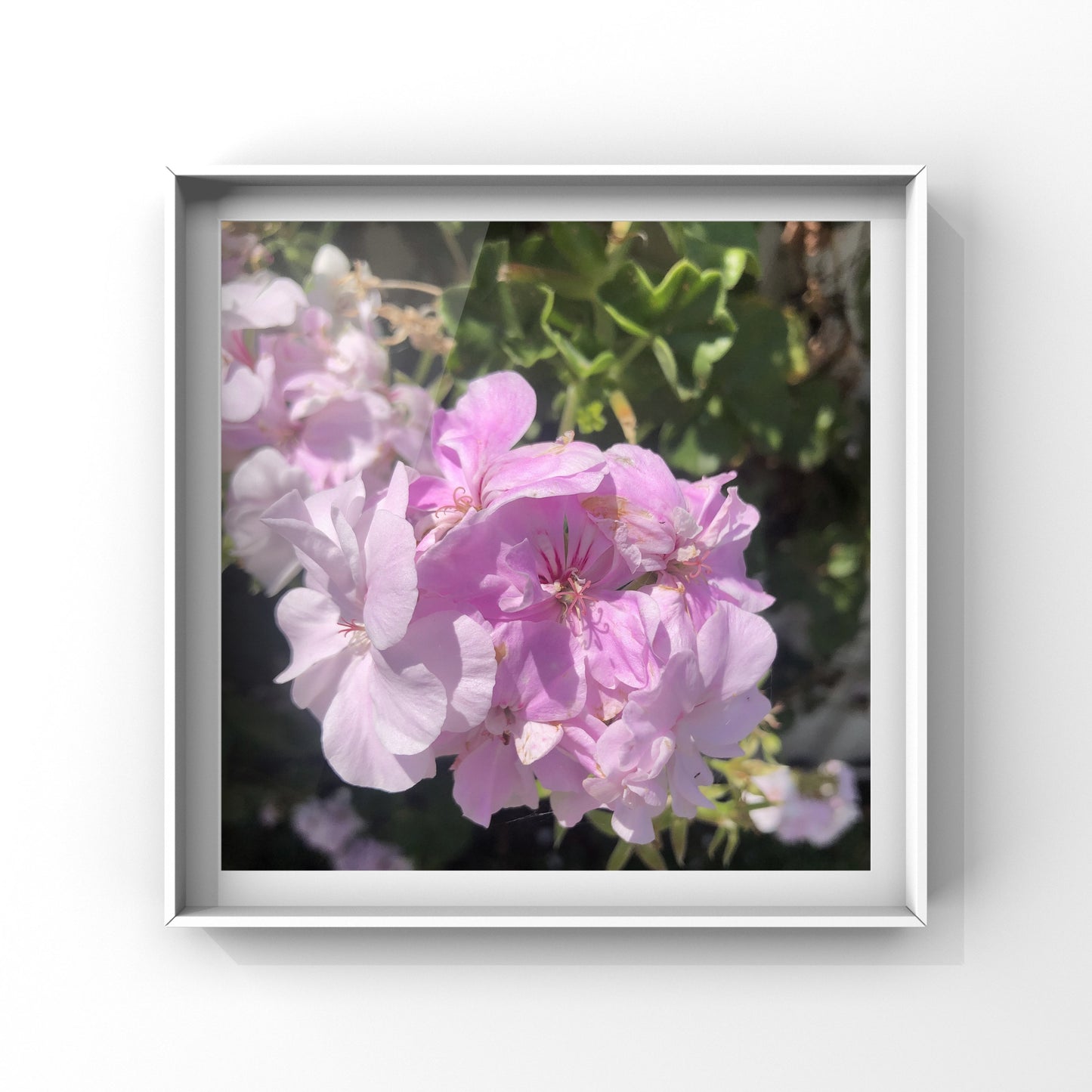 Subtle Pink Floral Charm| High-Resolution Digital Image For Personal Use