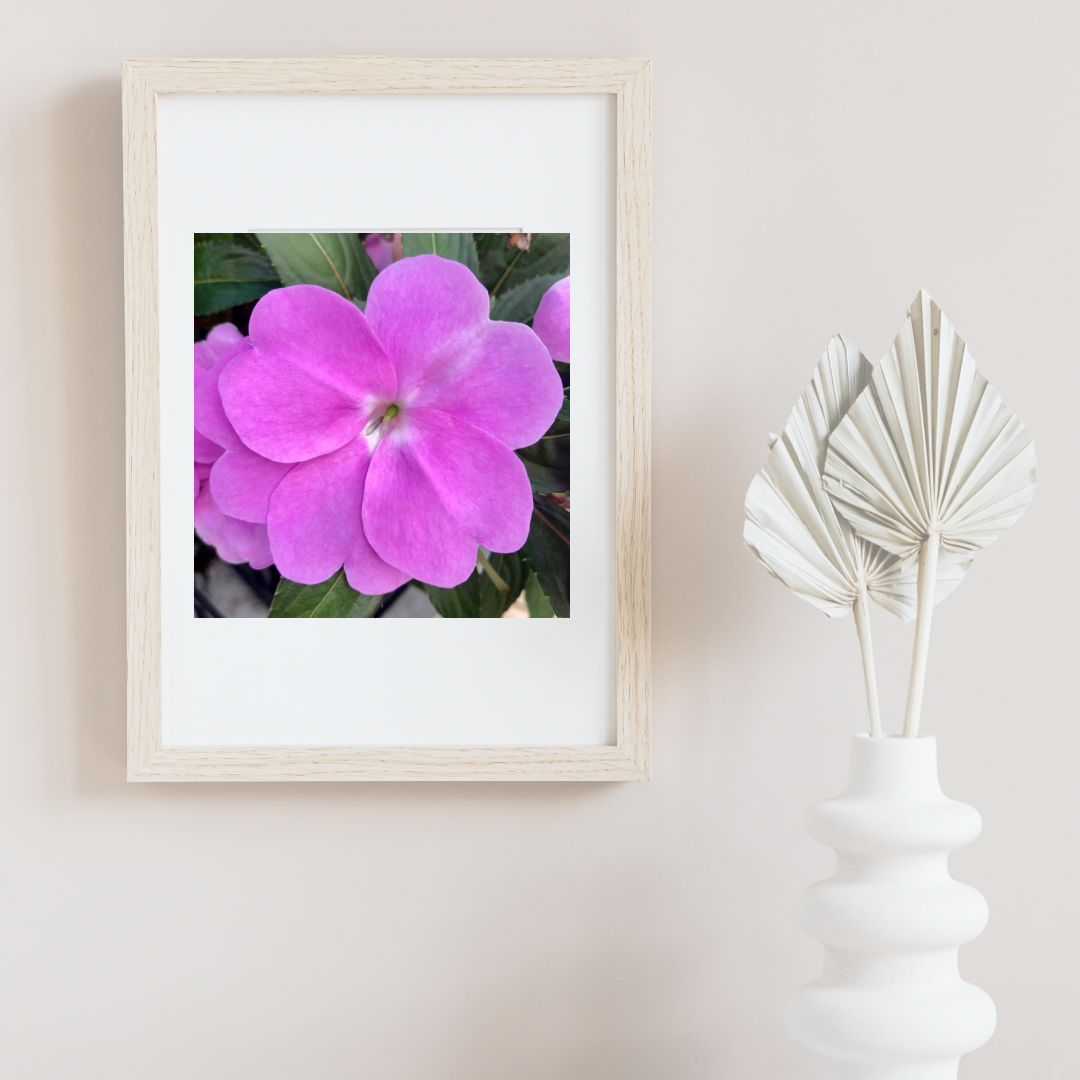 Pink Impatiens Printable Wall Art, Botanical Flower Photography, Digital Download