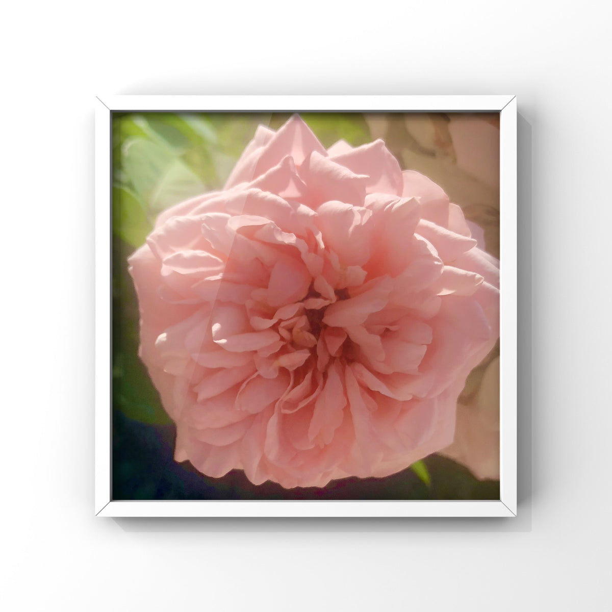 10 Rose Photography Bundle, Printable Floral Wall Art Collection, Botanical Decor, Digital Download