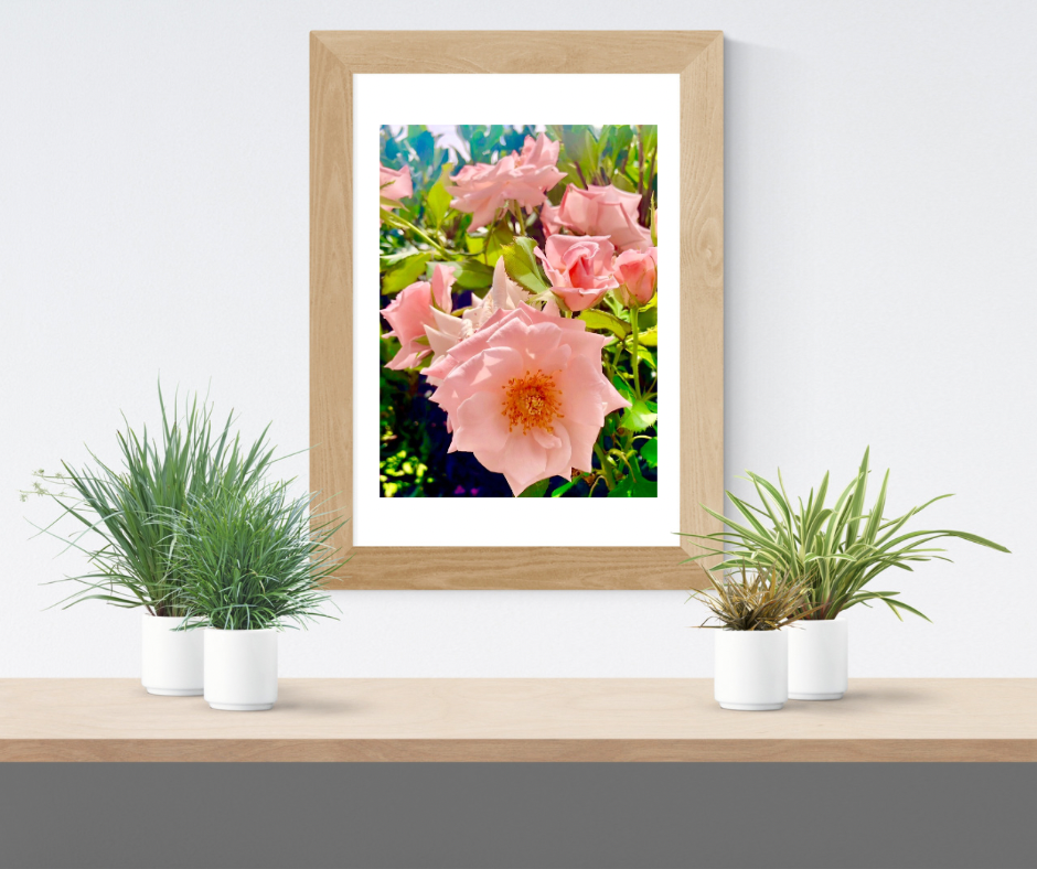Peach and Pink Roses Printable Wall Art, Botanical Flower Photography, Digital Download