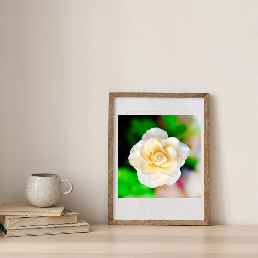 White Rose Wall Art Printable, Flower Photography, Elegant Botanical Decor, Digital Download