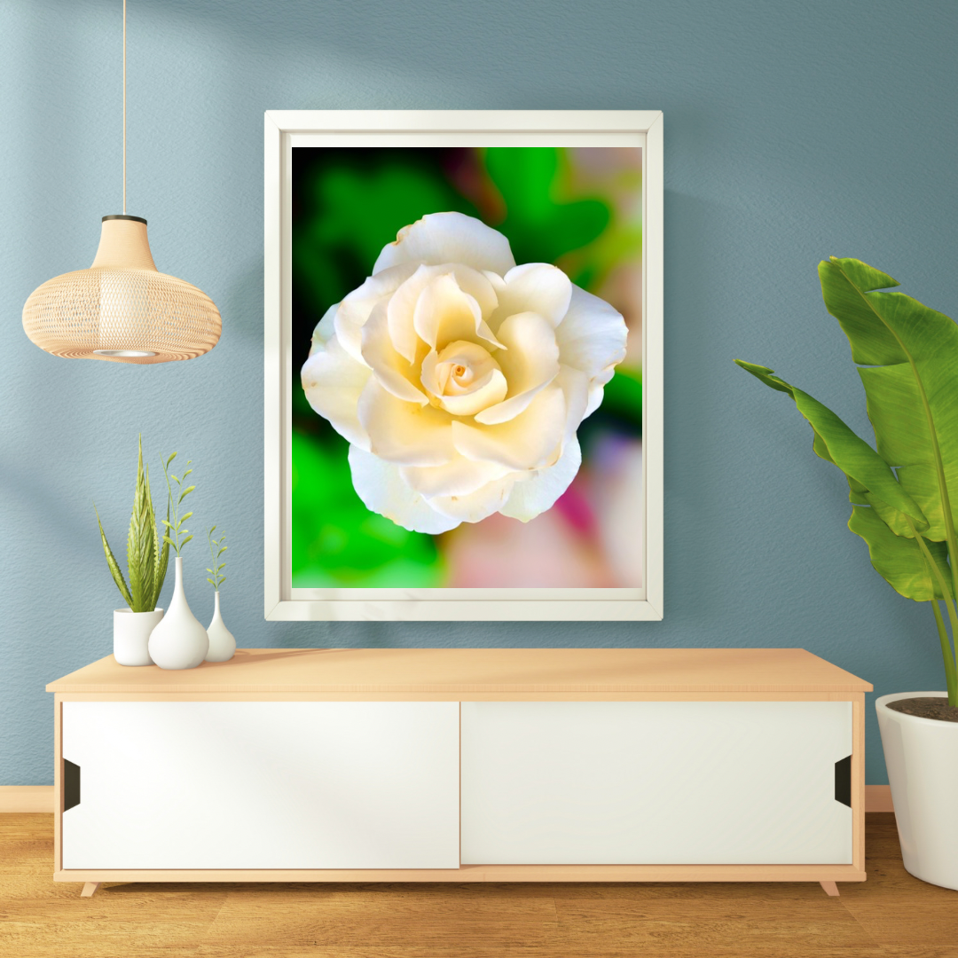 White Rose Wall Art Printable, Flower Photography, Elegant Botanical Decor, Digital Download