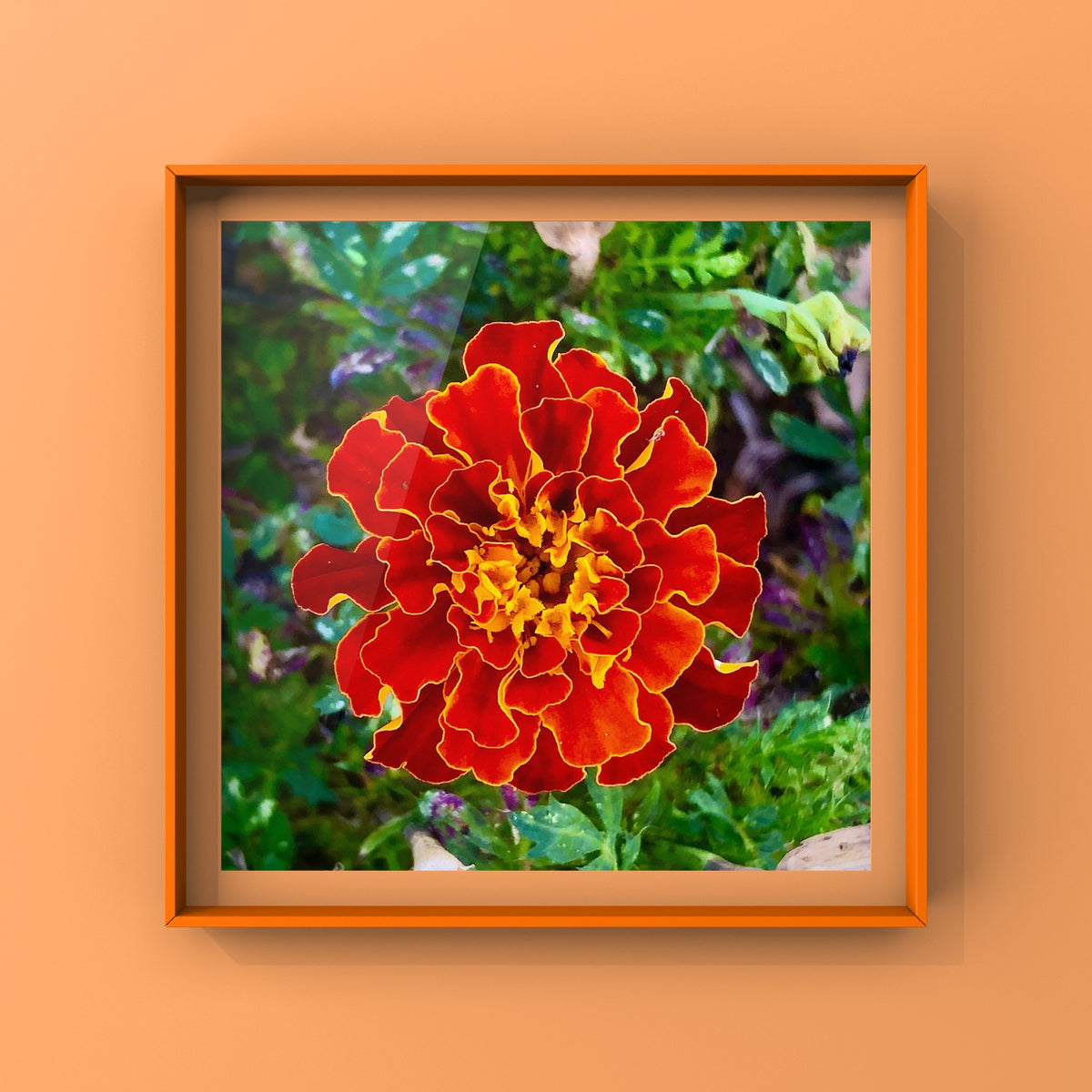 Orange Marigold Flower Wall Art Printable, Vibrant Dreamy Floral Photography, Elegant Botanical Decor, Digital Download