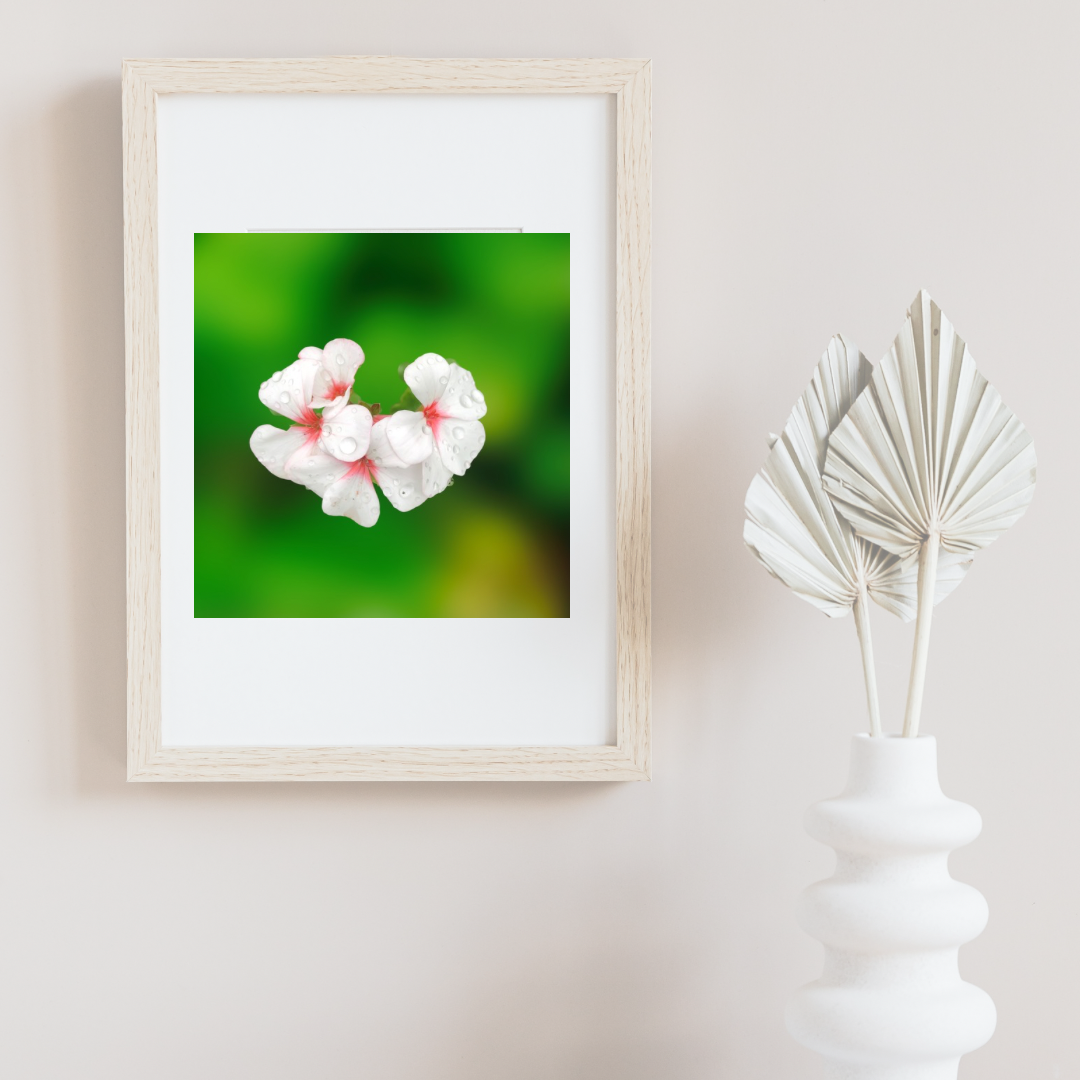 Pink and Red Garden Geraniums Wall Art Printable, Flower Photography, Elegant Botanical Decor, Digital Download