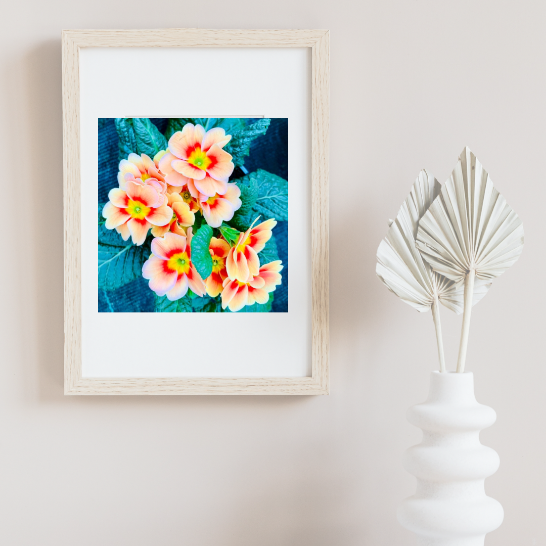 Orange Primrose Printable Wall Art, Botanical Flower Photography, Digital Download