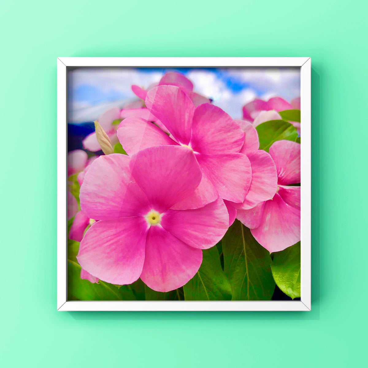 Vibrant Pink Flowers Wall Art Printable, Floral Photography, Botanical Decor, Digital Download