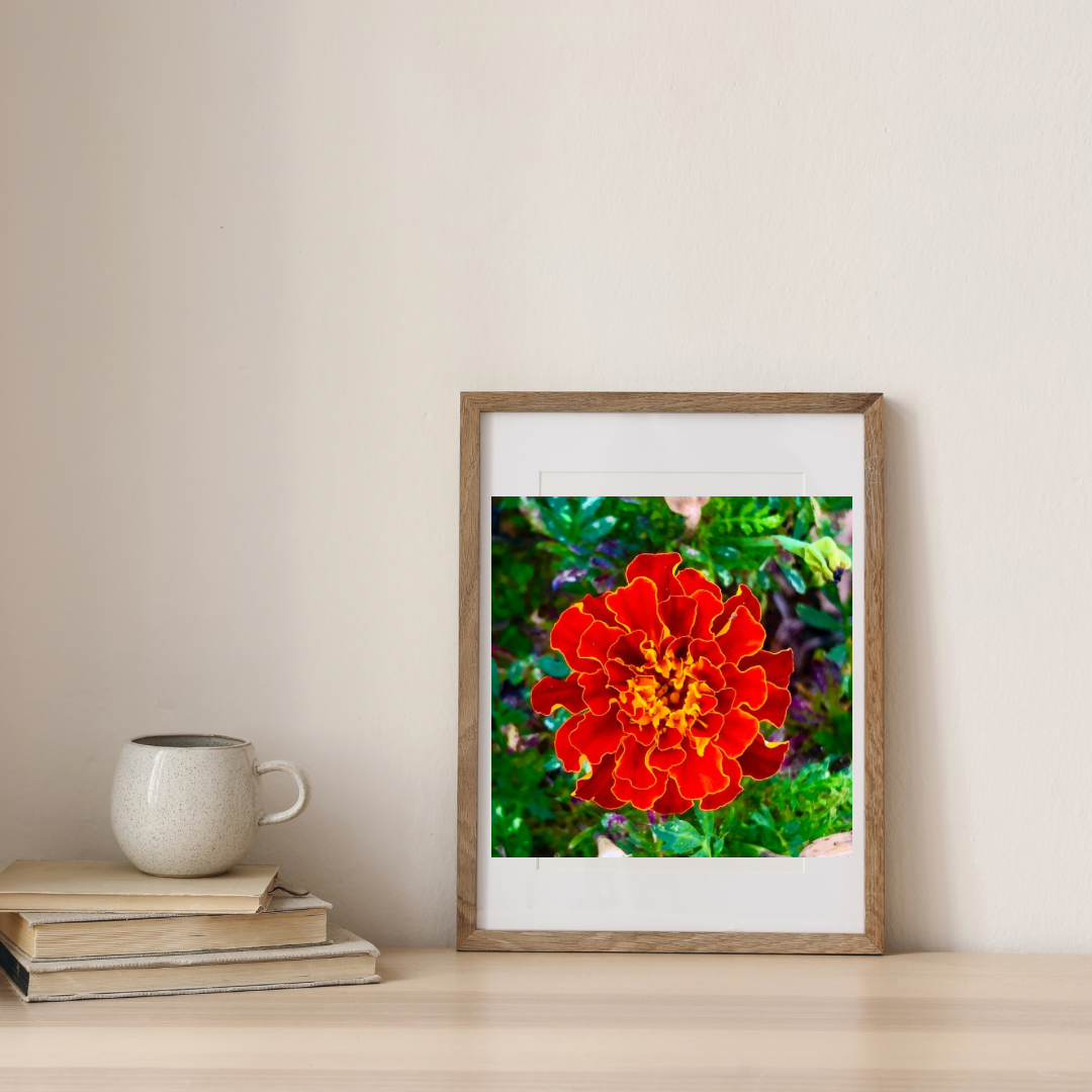 Orange Marigold Flower Wall Art Printable, Vibrant Dreamy Floral Photography, Elegant Botanical Decor, Digital Download