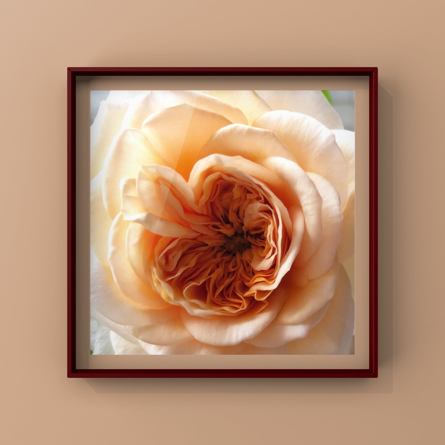 Large Orange Rose Wall Art Printable, Botanical Flower Photography, Digital Download