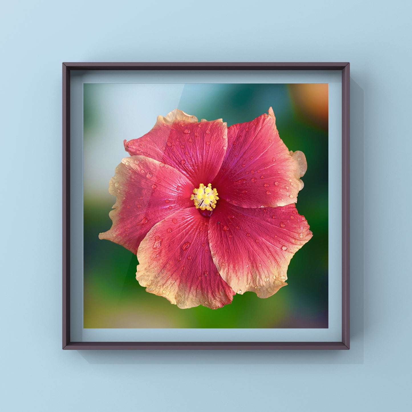 Hibiscus Flower Wall Art Bundle, 10 Botanical Photography Prints, Colour Collection, Digital Download