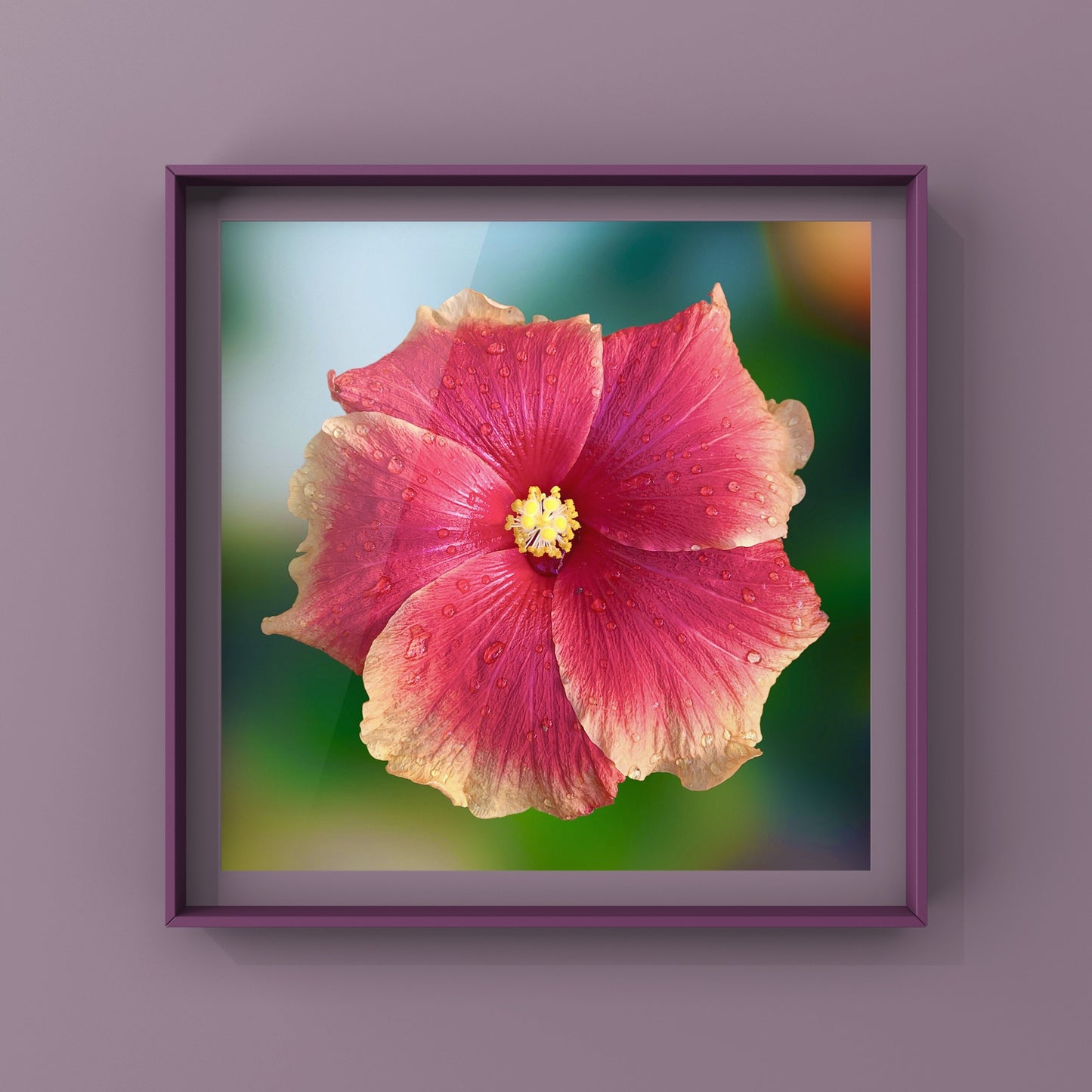 Hibiscus Flower Wall Art Bundle, 10 Botanical Photography Prints, Colour Collection, Digital Download