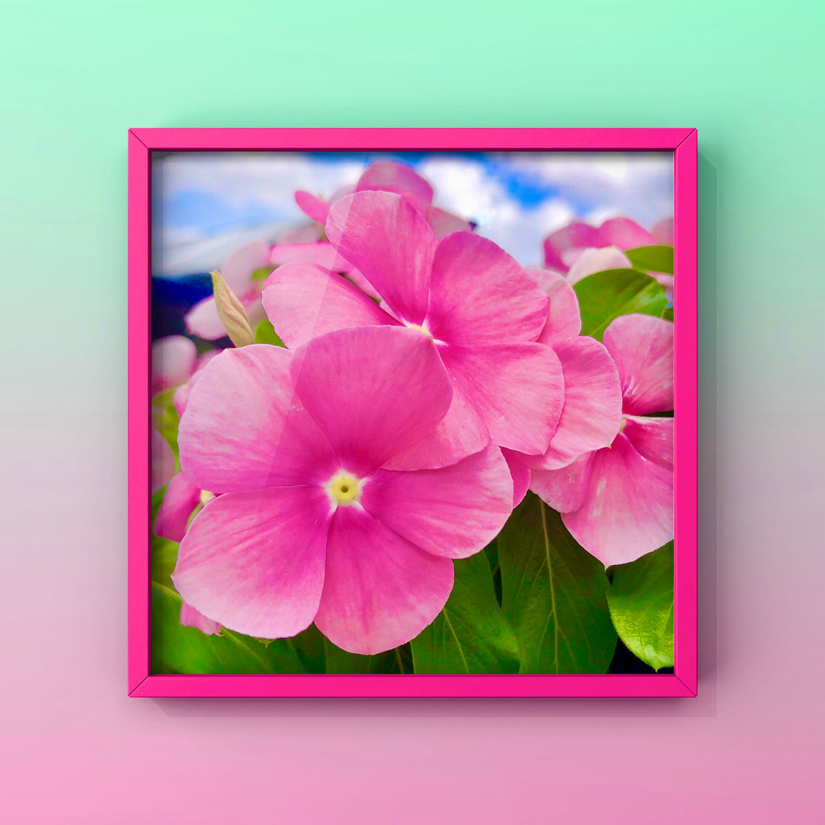 Vibrant Pink Flowers Wall Art Printable, Floral Photography, Botanical Decor, Digital Download