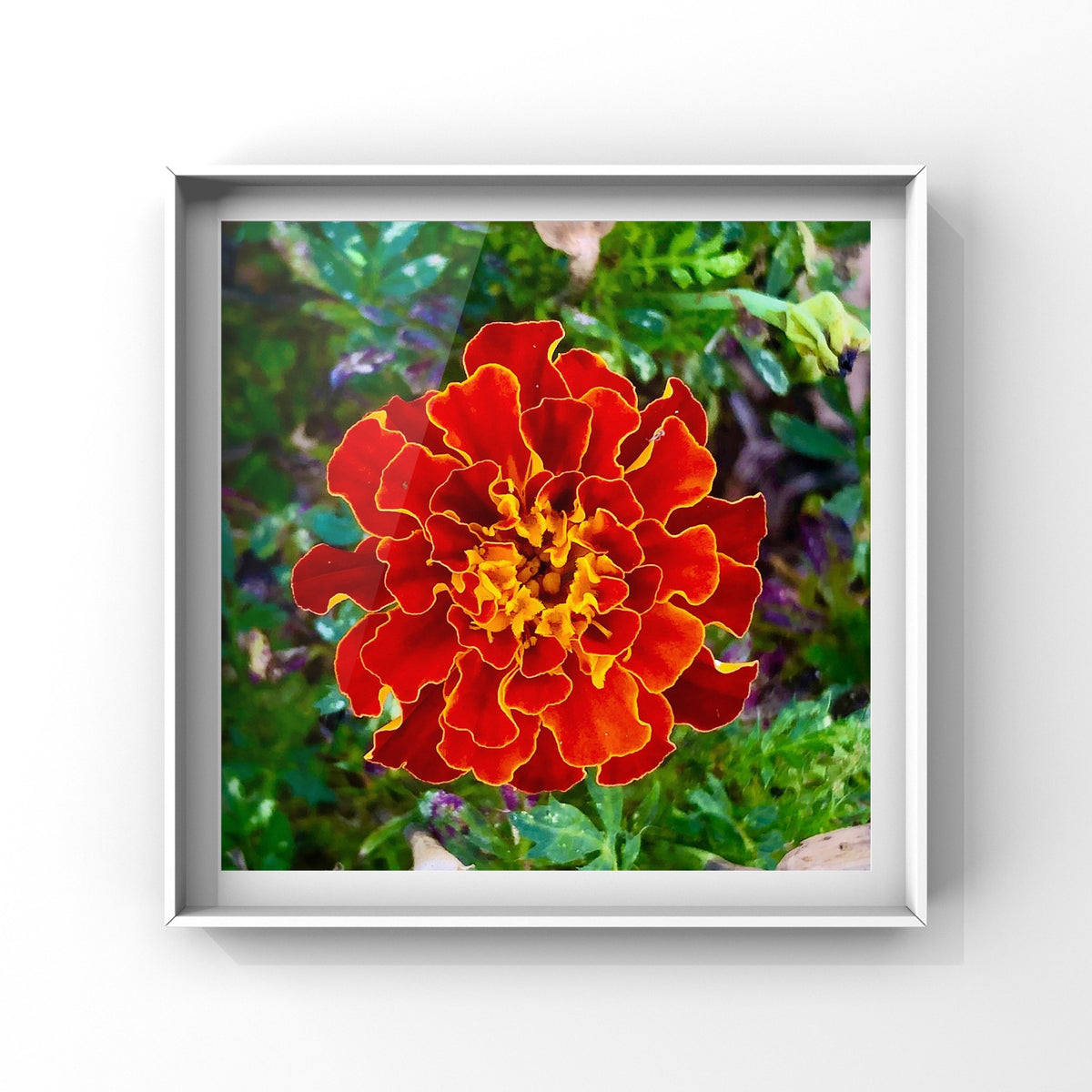 Orange Marigold Flower Wall Art Printable, Vibrant Dreamy Floral Photography, Elegant Botanical Decor, Digital Download