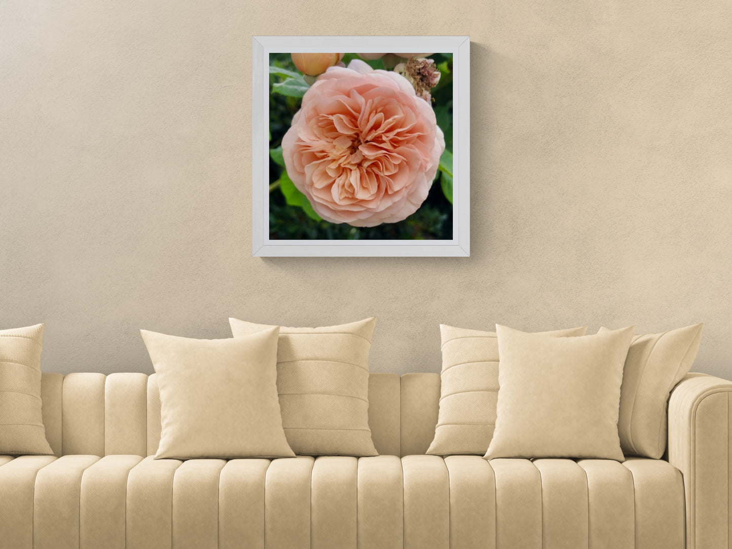 Orange English Rose Printable Wall Art, Botanical Flower Photography, Digital Download